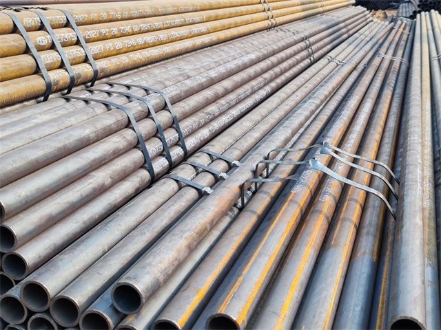 IMG_20230401_160758.jpg IMG_20230401_160758.jpg